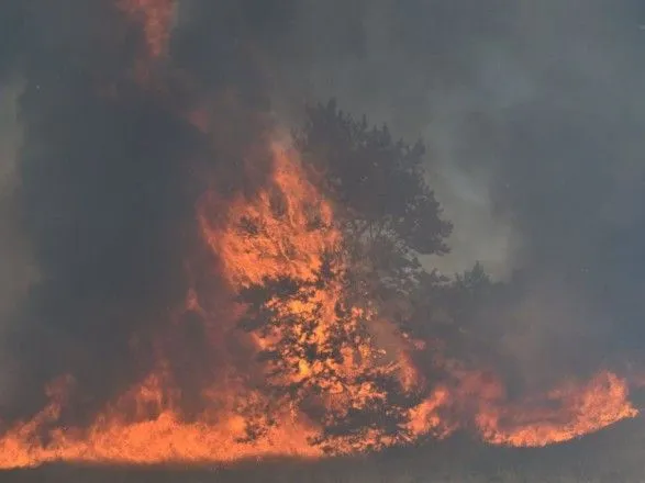 Пожежі на Луганщині локалізовано, загоряння досі є – Мінреінтеграції