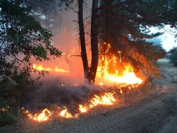 Пожежі на Луганщині: наймасштабніший осередок загоряння поширився із території РФ – Мінреінтеграції
