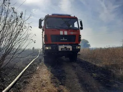 В Луганской области локализовано два очага пожаров сухой травы и лесных насаждений