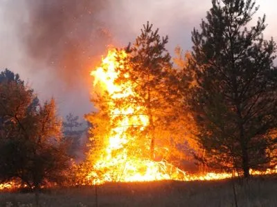 Пожежі на Луганщині: досі гасять три осередки загорання