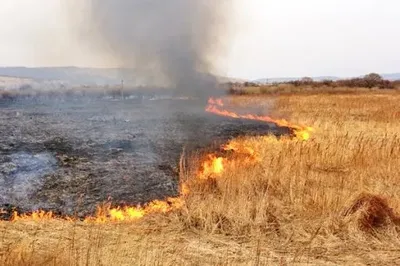 В Черкасской области за последние три дня из-за сжигания сухой травы погибли два человека