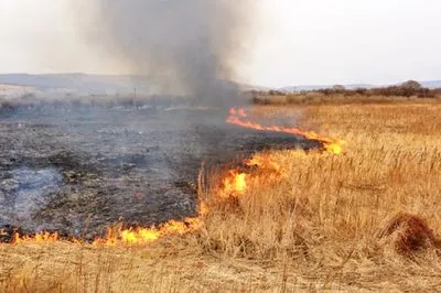На Черкащині за останні три дні через спалювання сухої трави загинули дві людини