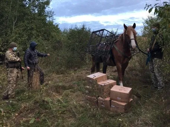 Мужчина конем пытался переправить из России в Украину контабанду табака для кальяна