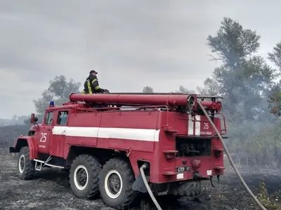 В Луганской области ликвидировали лесной пожар