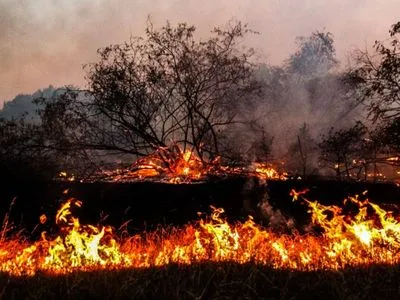 Пожары в Луганской области: до сих пор есть несколько очагов тления