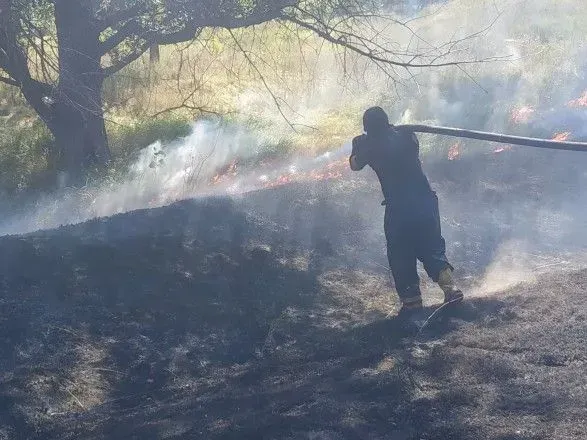 На столичному Голосієві сталася природна пожежа: вигоріла трава та повалені дерева