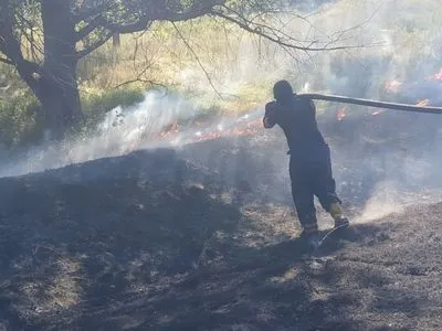 На столичном Голосеево произошел природный пожар: горела трава и поваленные деревья