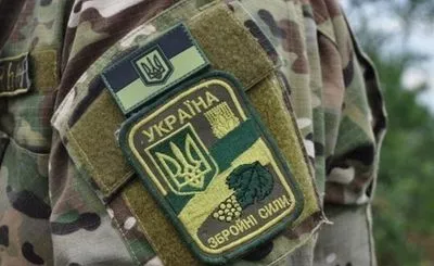 Украину все время пытаются расколоть - нет стержня национальных элит, способных зародится только в армии - эксперт