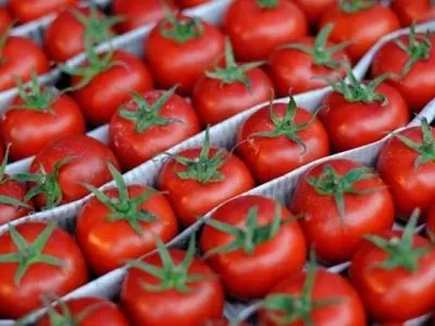 Украина почти удвоила импорт помидоров