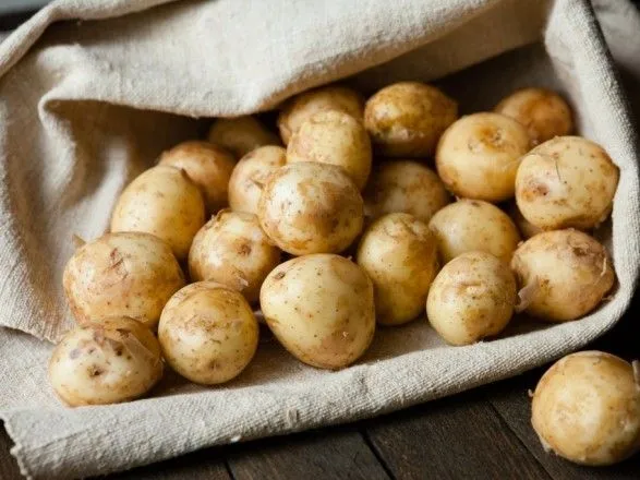Україна у шість разів збільшила імпорт картоплі