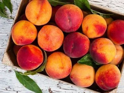 Украина нарастила на четверть импорт персиков