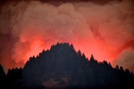 США Около полумиллиона человек в Орегоне эвакуировали из-за лесных пожаров