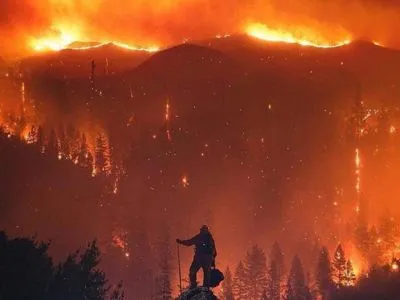 На западном побережье США возросло число жертв лесных пожаров