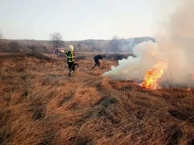 В Україні оголошено найвищий рівень пожежної небезпеки