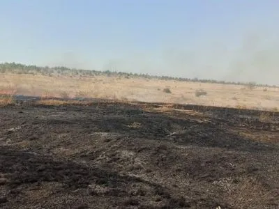 В Николаевской области снова горит заповедник "Еланецкая степь"