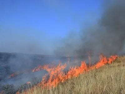 Второй за неделю пожар в заповеднике "Еланецкая степь" ликвидировали