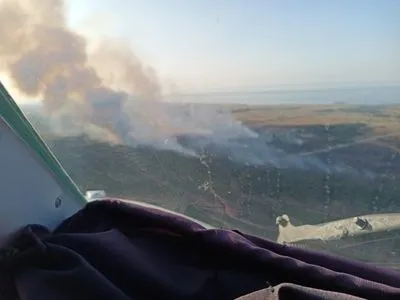 Масштабный лесной пожар в Херсонской области: привлекли авиацию и пожарные танки
