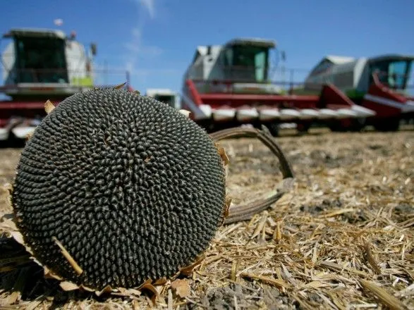 В Україні зібрали вже майже 36 млн тонн зерна