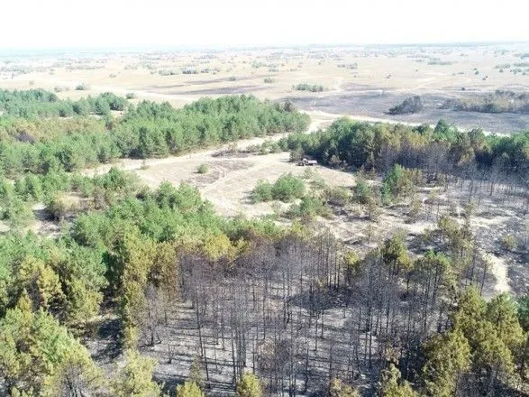 На Херсонщине горел лесной массив