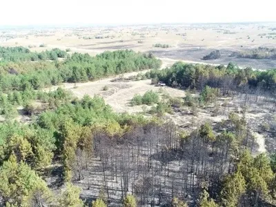 На Херсонщине горел лесной массив