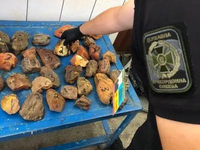 На границе с Румынией в микроавтобусе обнаружили янтарь на полмиллиона гривен