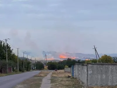 На Донеччині спалахнула масштабна лісова пожежа — мер Краматорська