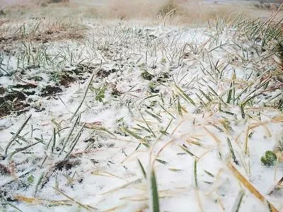 В Карпатах среди осени выпал снег