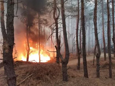 Під Дніпром спалахнула лісова пожежа