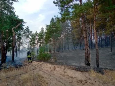 На Луганщині горить ліс