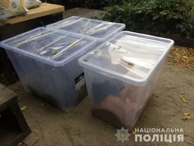 У Харкові знайшли викинутих котів, закритих у пластикові контейнери