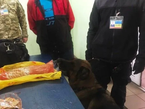 Служебная собака на границе с Беларусью нашла "амфетаминовый" батон
