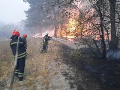 Пожежі на Луганщині: верхову пожежу ліквідовано, відкритого вогню практично немає
