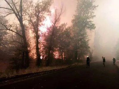 Пожежі на Луганщині: вогонь поширився на понад 11 тис. гектарів