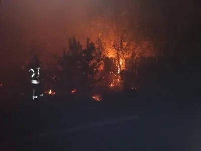 Бойовики навмисно підпалили траву на Луганщині - очільник ЛугОДА