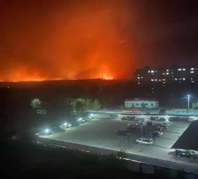 Боевики обстрелом леса спровоцировали пожар у Станицы Луганской - РГА