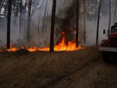 Пожары в Луганской области: авиация уже сбросила почти 650 тонн воды
