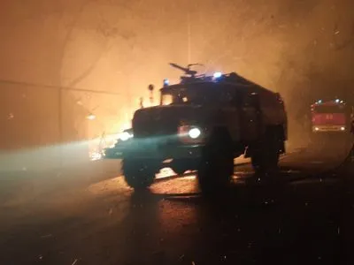 Пожежі на Луганщині: під час гасіння постраждало троє рятувальників
