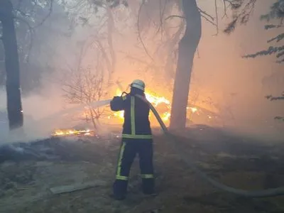 Пожары в Луганской области: в очаге с распространением огня привлекли авиацию