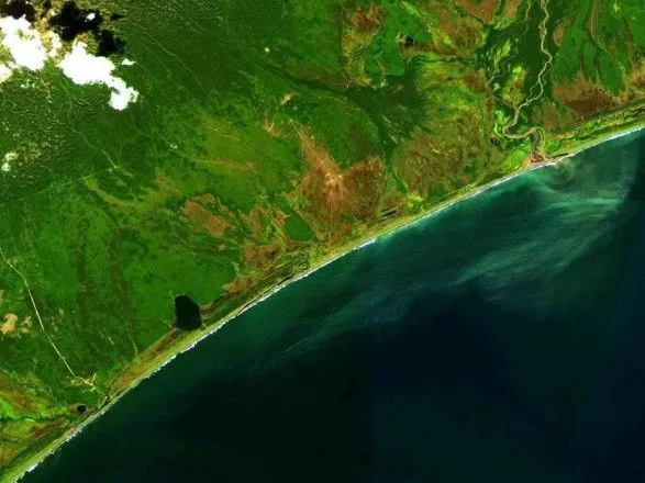 Загрязнение воды на побережье Камчатки: пострадало около 30 человек
