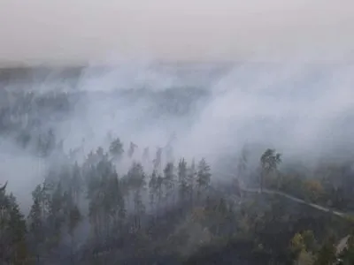 Пожежі на Луганщині охопили понад 20 тис. гектарів, гасіння триває