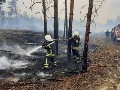 У Луганській області ліквідовано один із осередків масштабних пожеж