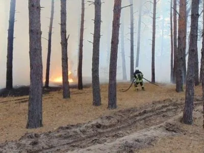У Луганській області з 8 основних осередків пожеж 4 — ліквідовані, на 3 — локалізовані