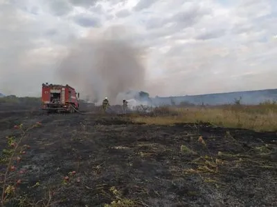 На Луганщині п’ять з шести осередків лісових пожеж локалізовано