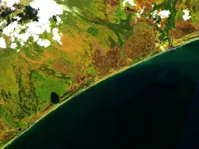 Нефтяное пятно на побережье Камчатки растеклось на сотни метров