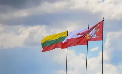 Литва и Польша решили отозвать своих послов из Беларуси