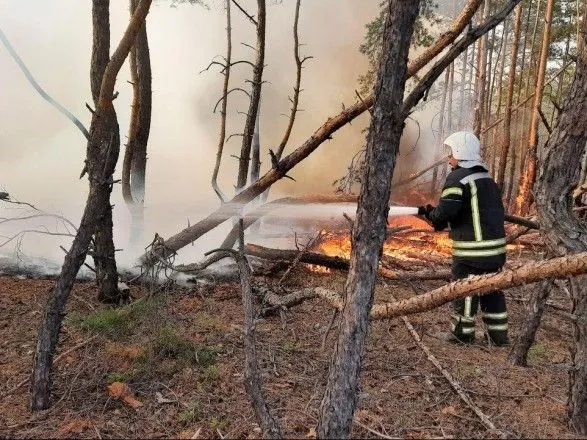 Пожежі на Луганщині: ліквідовано сім осередків, ще один – локалізовано