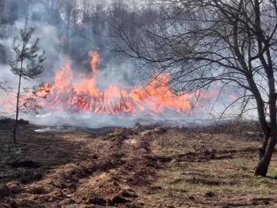 Ситуація на Луганщині: вночі поблизу двох населених пунктів піднімалась верхова пожежа