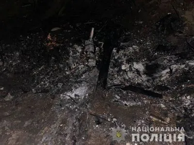 Падение мотодельтаплана в Киевской области: открыто производство