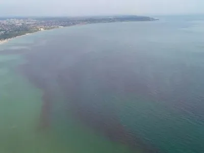 В Одесі "почервоніло" море: біолог пояснив причину