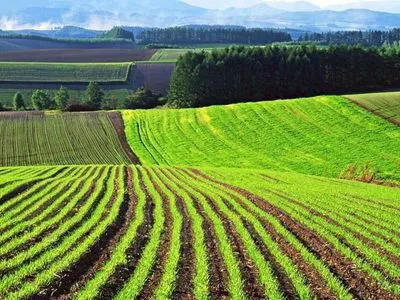 В кадастр внесли данные о почти 32 млн га сельскохозяйственных земель